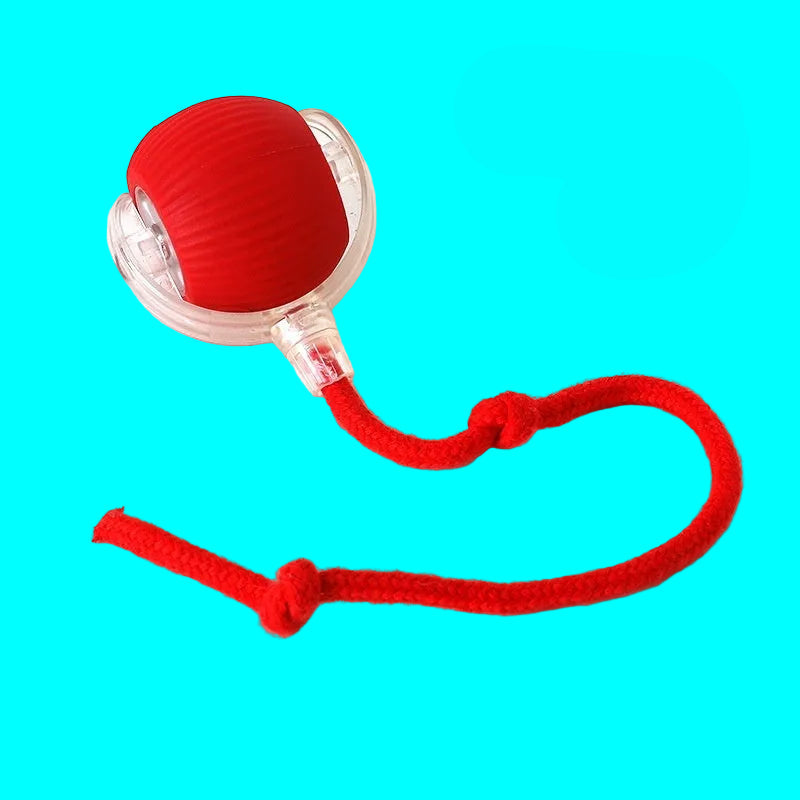 Red ball with a rope on a white background