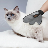 Grey grooming glove on white cat